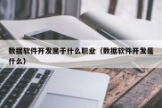 数据软件开发属于什么职业（数据软件开发是什么）