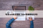 专业seo优化团队（seo专业优化公司）