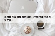 小程序开发需要用到ssm（小程序用什么开发工具）