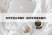 软件开发公司图片（软件开发相关图片）