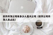 软件开发公司有多少人是大公司（软件公司开发人员占比）