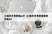 小程序开发教程pdf（小程序开发教程视频百度云）