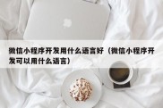 微信小程序开发用什么语言好（微信小程序开发可以用什么语言）