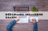 湖北怎么做seo优化（湖北seo关键词排名优化软件）