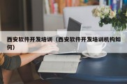 西安软件开发培训（西安软件开发培训机构如何）