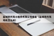 盐城市代驾小程序开发公司排名（盐城市代驾司机怎么叫）