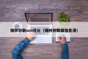 锡林郭勒seo优化（锡林郭勒盟信息港）