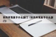 软件开发属于什么部门（软件开发属于什么部门）