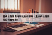 重庆软件开发培训机构有哪些（重庆的软件开发公司有哪些）