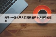 关于seo优化从入门到精通的十大技巧的信息