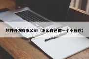 软件开发有限公司（怎么自己做一个小程序）