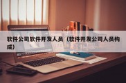 软件公司软件开发人员（软件开发公司人员构成）