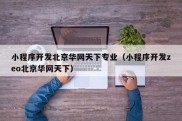 小程序开发北京华网天下专业（小程序开发zeo北京华网天下）