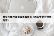 西安小程序开发公司有哪些（西安专业小程序加盟）