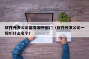 软件开发公司都有哪些部门（软件开发公司一般叫什么名字）