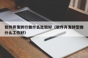 软件开发转行做什么比较好（软件开发转型做什么工作好）