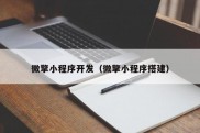 微擎小程序开发（微擎小程序搭建）