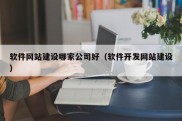 软件网站建设哪家公司好（软件开发网站建设）