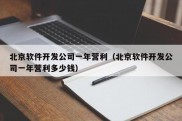 北京软件开发公司一年营利（北京软件开发公司一年营利多少钱）