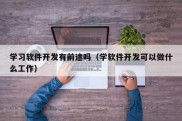 学习软件开发有前途吗（学软件开发可以做什么工作）