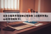 北京小程序开发定制公司华网（小程序开发pqs北京华网天下）