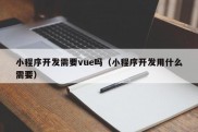 小程序开发需要vue吗（小程序开发用什么需要）