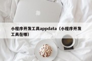 小程序开发工具appdata（小程序开发工具在哪）