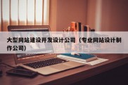 大型网站建设开发设计公司（专业网站设计制作公司）