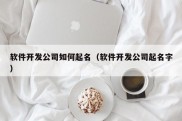 软件开发公司如何起名（软件开发公司起名字）