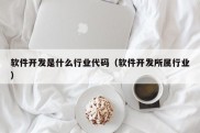 软件开发是什么行业代码（软件开发所属行业）