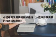 小程序开发需要的技术指标（小程序开发需要的技术指标包括）